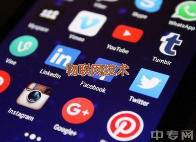 安徽电子信息职业学院物联网应用技术专业